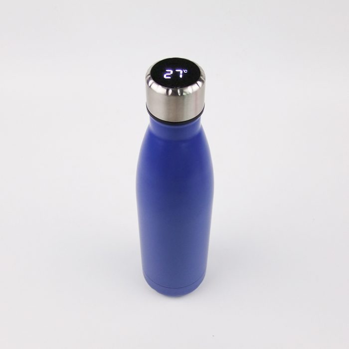smart thermos bottle